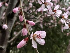 -颐和园