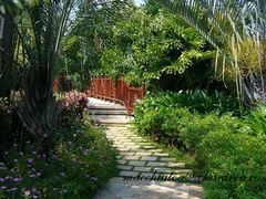 -三亚亚龙湾红树林度假酒店