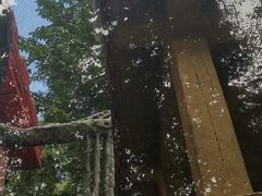 -贵州森林野生动物园