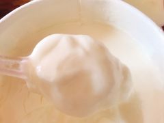 -蒙醇鲜酿酸奶