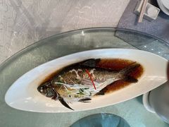 蒸鱼-亢龙太子酒轩·花园店