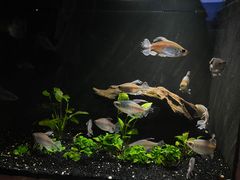 -上海海洋水族馆