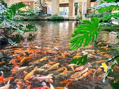-湛江山河酒店