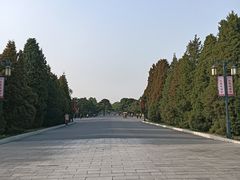 -北陵公园