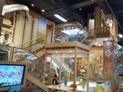 -卡通尼·Safari非洲探索乐园·生日会(金桥国际商业广场店)