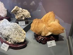 -湖南省地质博物馆