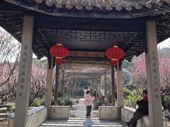 -雨花胜境