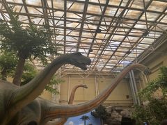 -国家自然博物馆