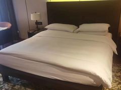 -上海崇明金茂凯悦酒店