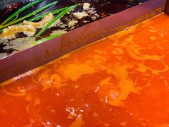 红番鸳鸯锅-尽膳·鱼鲜川菜(宽窄巷子店)