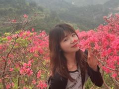 -木兰云雾山