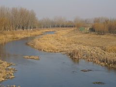 -东郊湿地公园