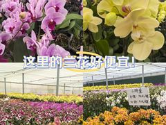 -万顷园艺世界