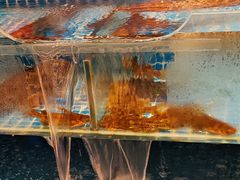 -水之梦(黄浦店)