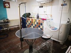 -派多格宠物·购宠(靛厂路店)