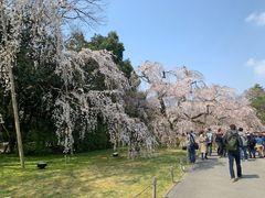 -醍醐寺