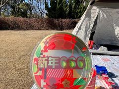 -春花秋色城市公园