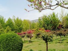 -西清公园