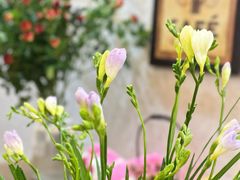 -循礼门鲜花花市(武汉循礼门店)