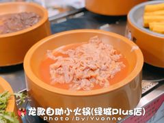 -龍歌自助小火锅(李沧丽达店)