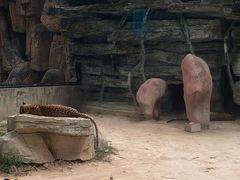 -紫马岭公园