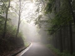 -山王坪喀斯特国家生态公园