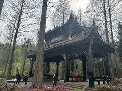 -青城山