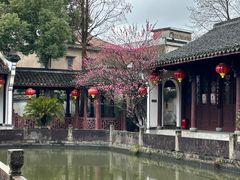 -丝绸小镇荻港古村