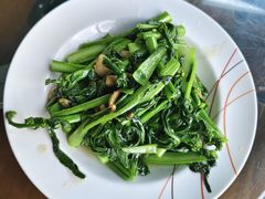 -连理枝渔家乐