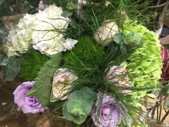 -植物学家的女儿(北马道巷店)