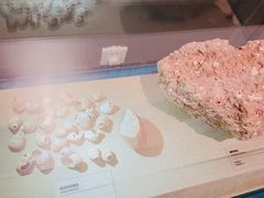 -柳州白莲洞洞穴科学博物馆
