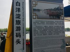 -白洋淀景区