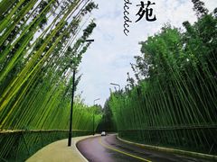 -中国唐苑