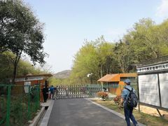 -白马涧龙池景区
