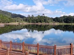 -海南热带雨林国家公园吊罗山景区
