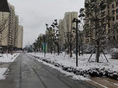 小区环境-仁恒西郊花园