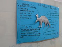 -瑞思英语·少儿英语启蒙(和平·国际商场示范校区)