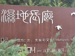 -东郊湿地公园
