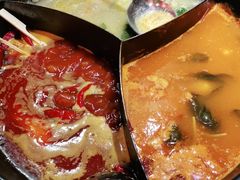 -蜀大侠火锅(森兰花园城店)