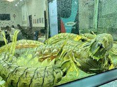 -凤城礼记鱼翅海鲜酒家(新马路总店)