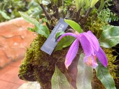 -国家植物园南园