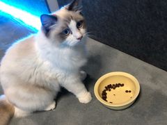 -零纪元VR体验馆·桌游(黄浦店)