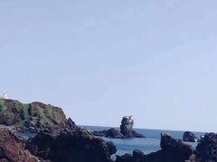 -涉地可支