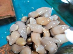 -北海港酒楼 海鲜代加工 粤菜(淡村商贸城店)
