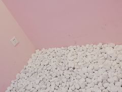 景观位-狐狸和向日葵(北京路店)