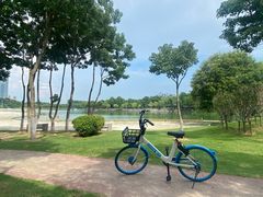 -滨湖塘西河公园