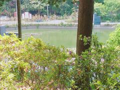 -贵州省植物园