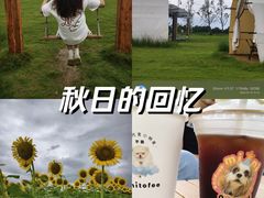 -阳澄湖半岛旅游度假区