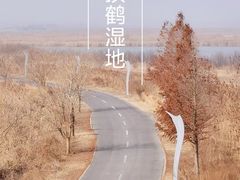 -盐城丹顶鹤湿地生态旅游区