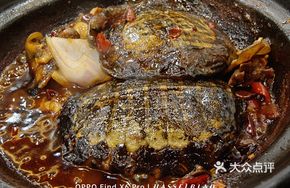特色小甲鱼